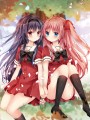 その花１０周年記念ポストカードセット