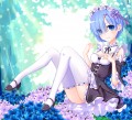 レム
