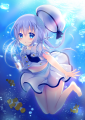 ○｡.ぶくぶくチノちゃん.｡○