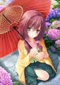 芦花