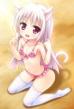 猫耳さん
