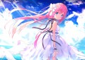 夏の空