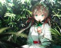 自然の香り