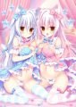 双子の白猫ちゃん