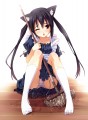 ネコ耳あずにゃん/煎路