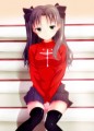 冬木のレッドデビル
				/キンタ