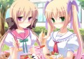 どっちなの！？/いちろく