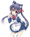 あずにゃん！/ちゃも