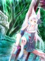 白髪きつね