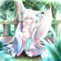 妖狐