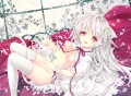 白にゃんこ