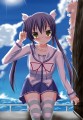 ぬこ発見さらちゃん/雪村千紗