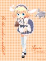 シャロちゃん