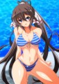 縞水着の箒☆